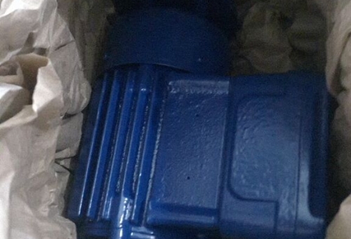11.24上海盛霞CEMP電機到貨照片