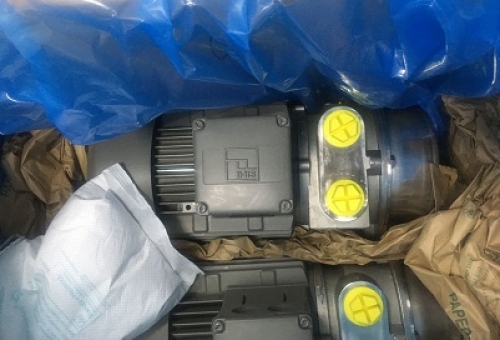2019.02.26上海盛霞Flowserve泵到貨照片